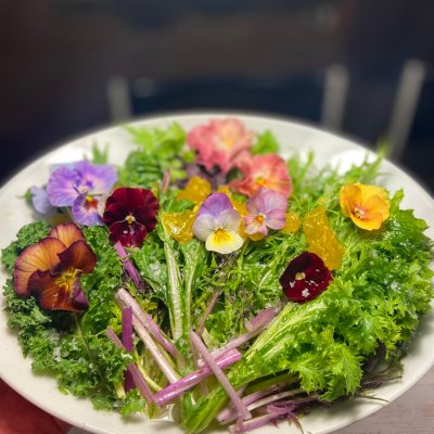 Hoa ăn được và salad
