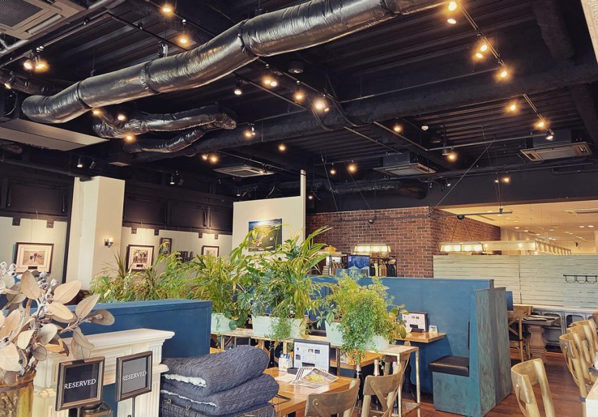 Không gian thư giãn với cây cảnh trong nhà